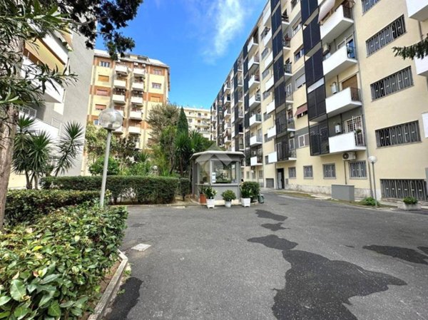 appartamento in vendita a Roma in zona Monte Sacro/Talenti