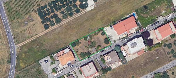 negozio in vendita a Roma in zona Finocchio