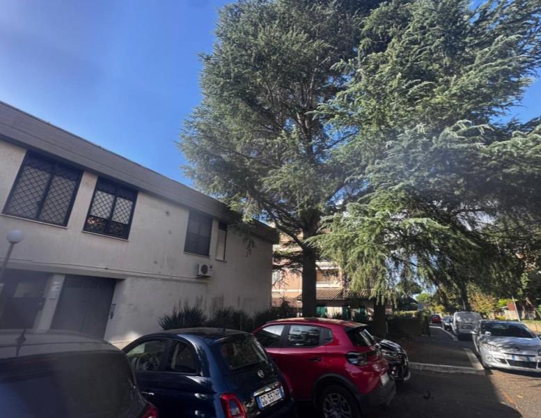 appartamento in vendita a Roma in zona Trionfale