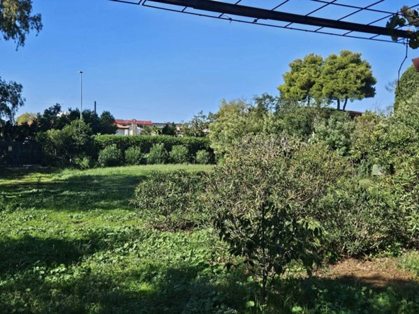 terreno agricolo in vendita a Roma in zona Casal Palocco