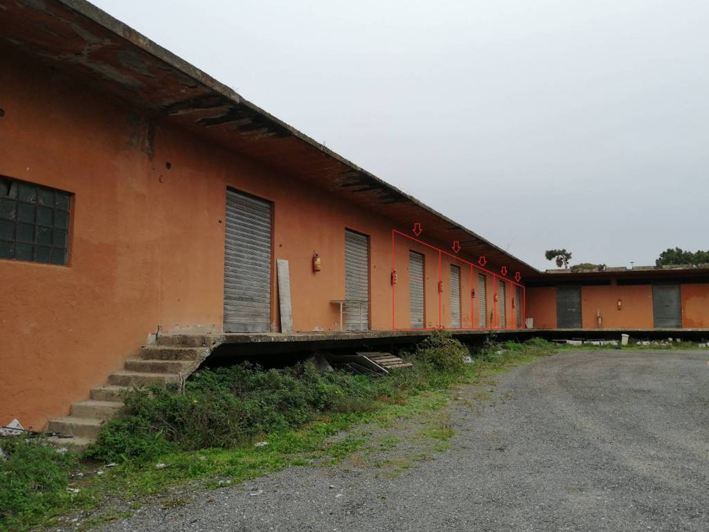 locale commerciale in vendita a Roma in zona Ostia Antica