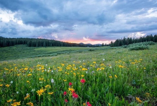 casa indipendente in vendita a Roma in zona Olgiata