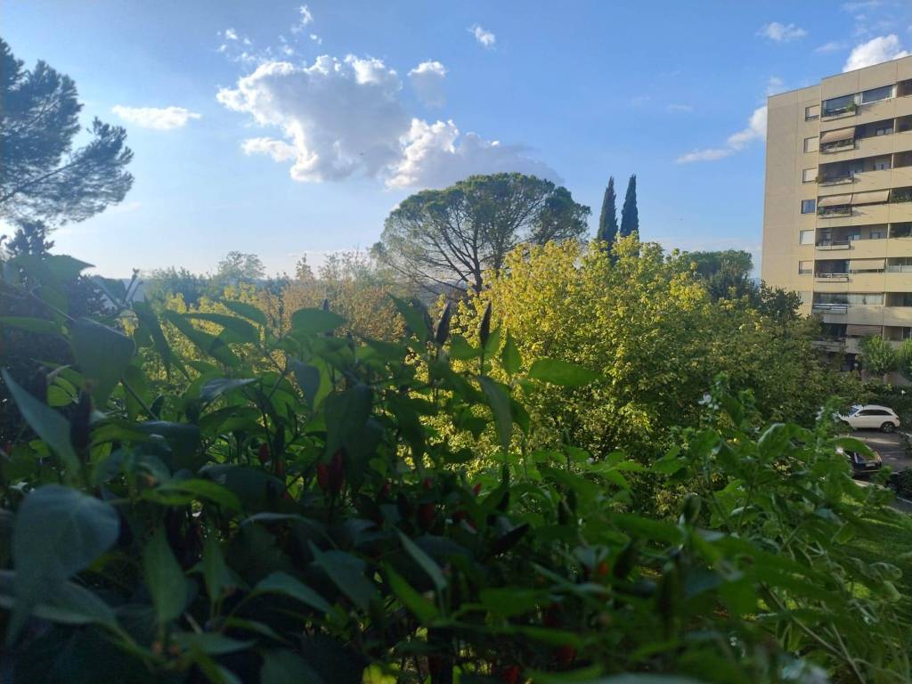 appartamento in vendita a Roma in zona Casal Boccone