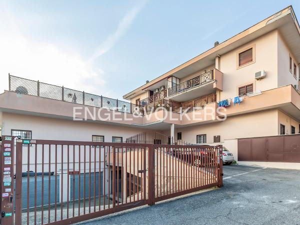 negozio in vendita a Roma in zona Tor Vergata/Torrenova