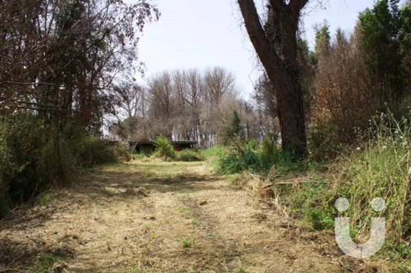 negozio in vendita a Roma in zona Olgiata