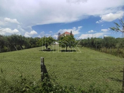 casa indipendente in vendita a Roma in zona Collatino