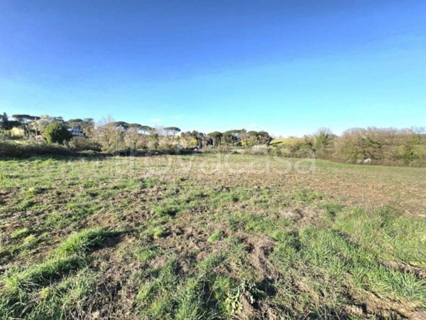 terreno agricolo in vendita a Roma in zona Valle Muricana