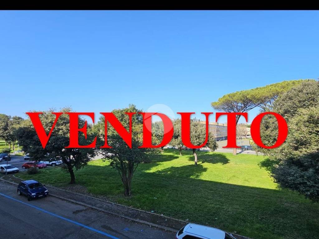 appartamento in vendita a Roma in zona Flaminio