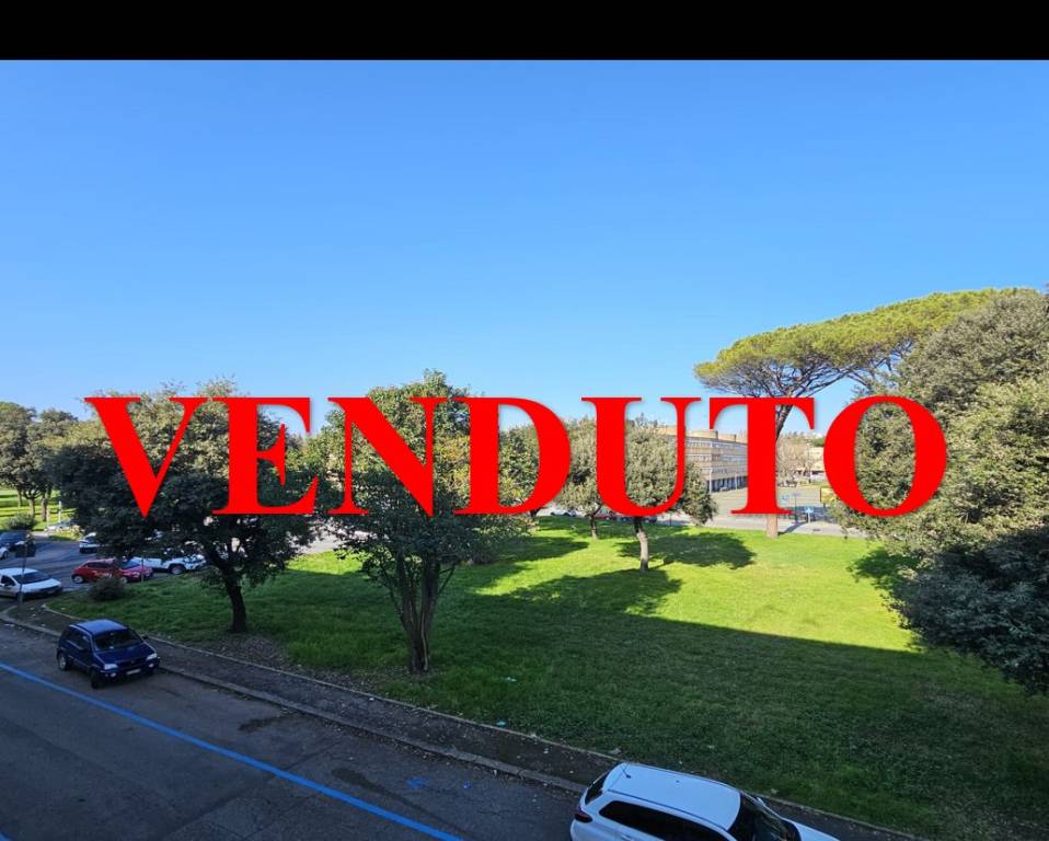 appartamento in vendita a Roma in zona Parioli