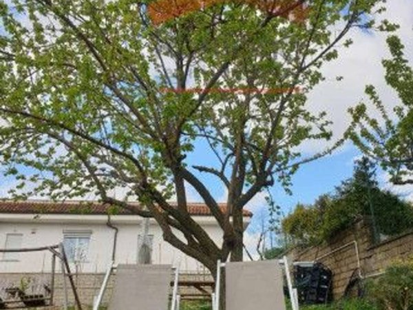 negozio in vendita a Roma in zona Gianicolense