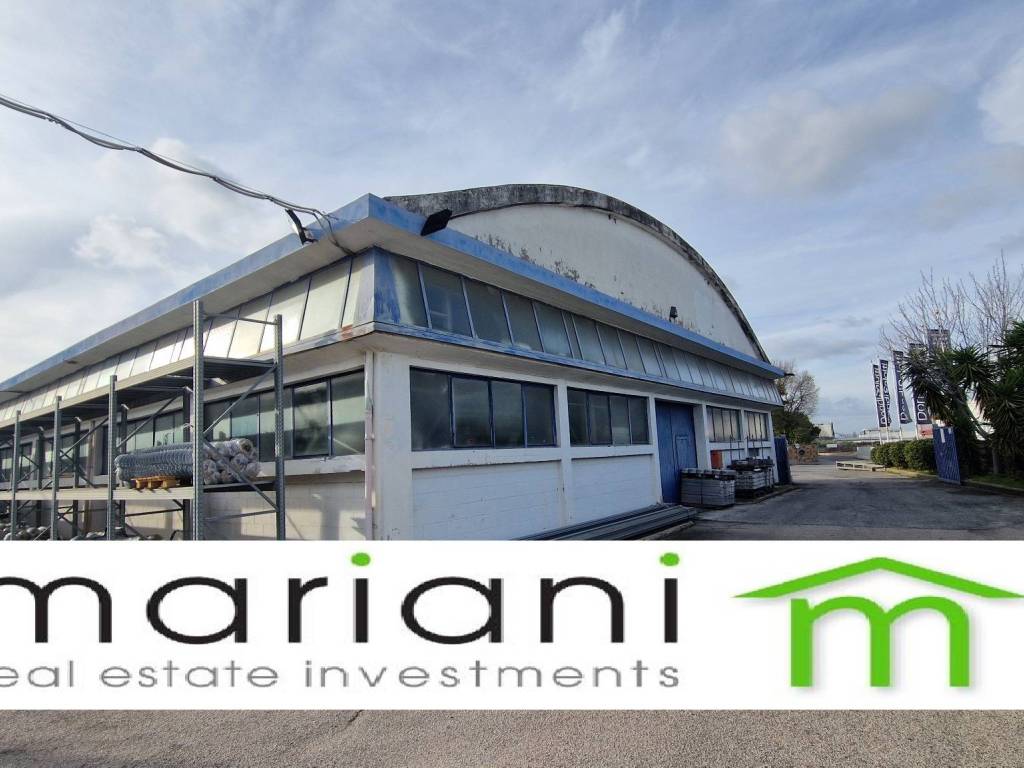 capannone in vendita a Roma in zona Tor Vergata/Torrenova