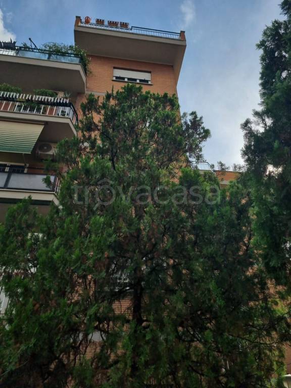 appartamento in vendita a Roma in zona Monte Sacro/Talenti