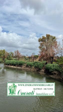 terreno agricolo in vendita a Roma in zona Collatino