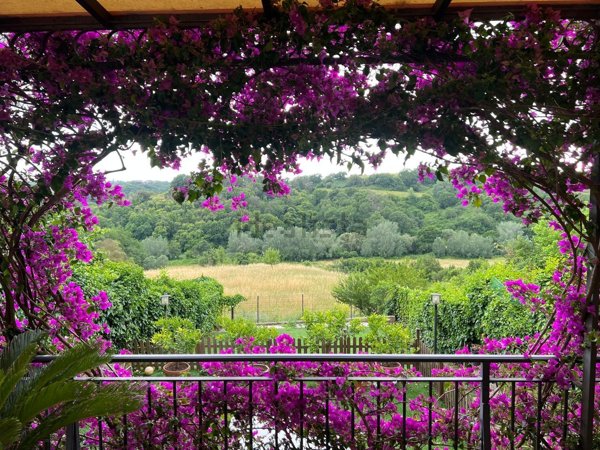 appartamento in vendita a Roma in zona Tomba di Nerone