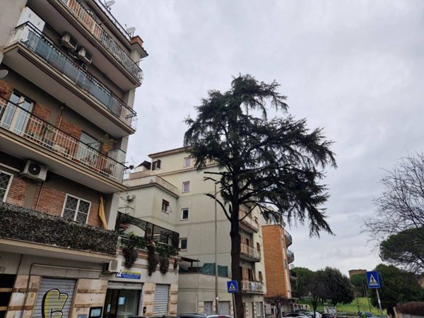 appartamento in vendita a Roma in zona Torre Maura