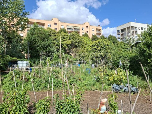 terreno agricolo in vendita a Roma in zona Pietralata