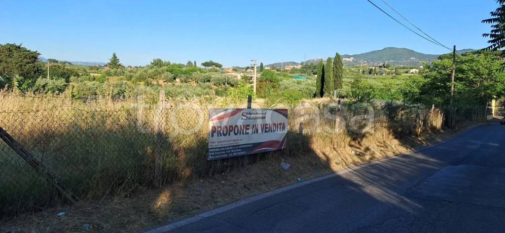 terreno agricolo in vendita a Roma in zona Torre Gaia