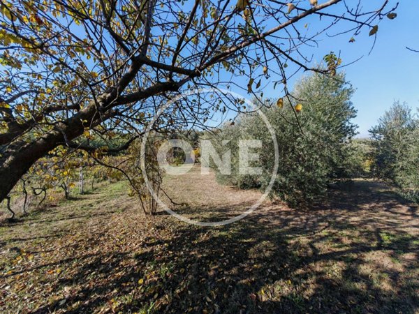 terreno agricolo in vendita a Roma in zona Finocchio