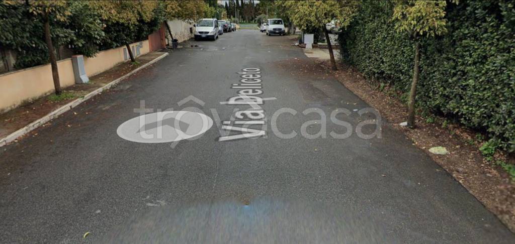 appartamento in vendita a Roma in zona Ponte di Nona