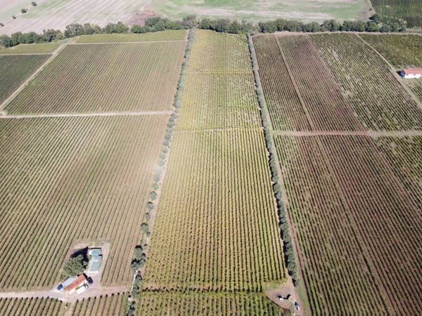 terreno agricolo in vendita a Roma in zona Trigoria