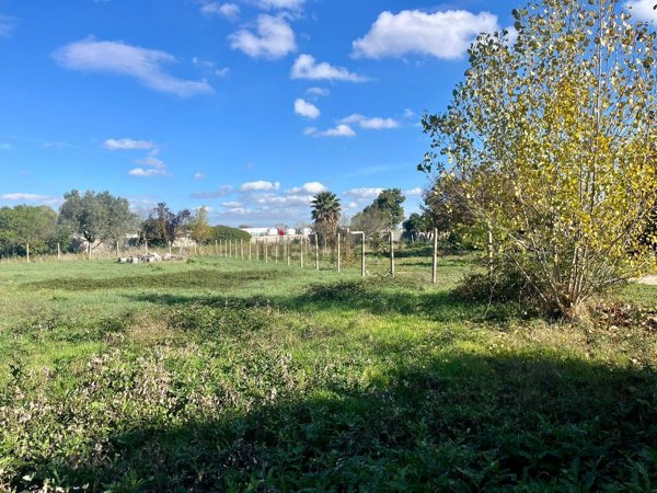 terreno agricolo in vendita a Roma in zona Casal Palocco