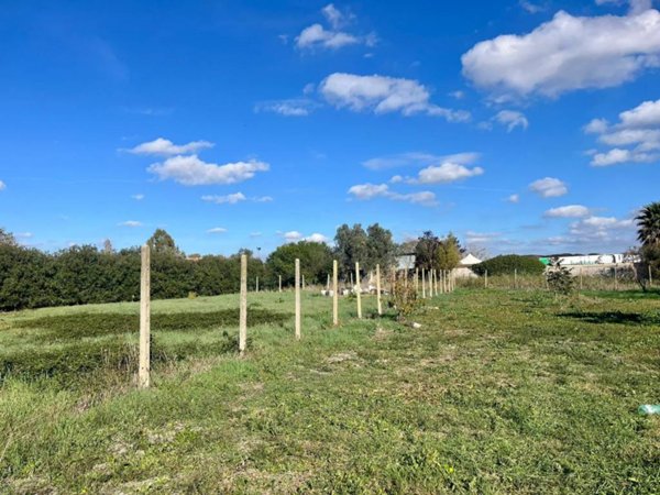 terreno agricolo in vendita a Roma in zona Casal Palocco