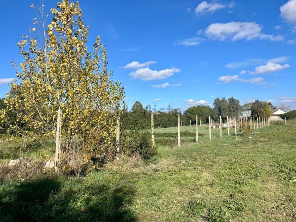 terreno agricolo in vendita a Roma in zona Casal Palocco
