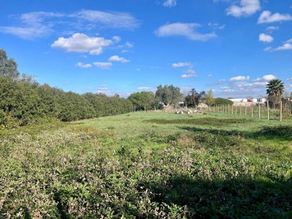 terreno agricolo in vendita a Roma in zona Casal Palocco