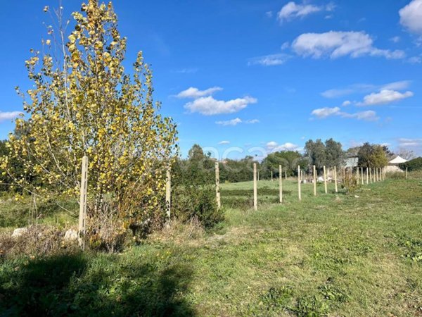 terreno agricolo in vendita a Roma in zona Casal Palocco