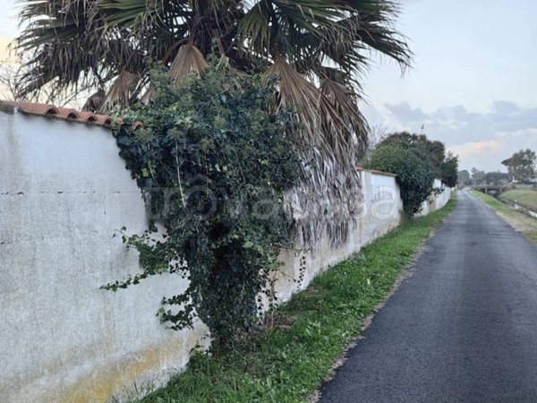 terreno agricolo in vendita a Roma in zona Casal Palocco