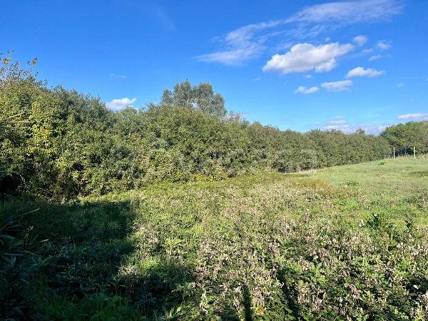 terreno agricolo in vendita a Roma