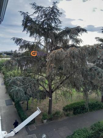 appartamento in vendita a Roma in zona Spinaceto