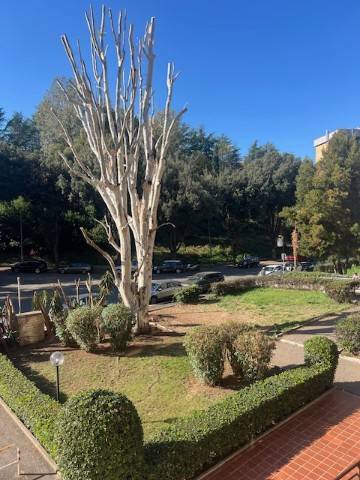 appartamento in vendita a Roma in zona Spinaceto