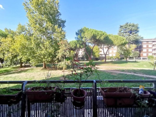 appartamento in vendita a Roma in zona Monte Sacro/Talenti