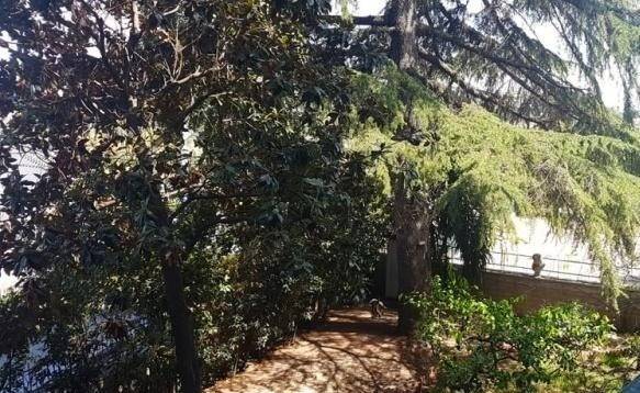 appartamento in vendita a Roma in zona Gianicolense