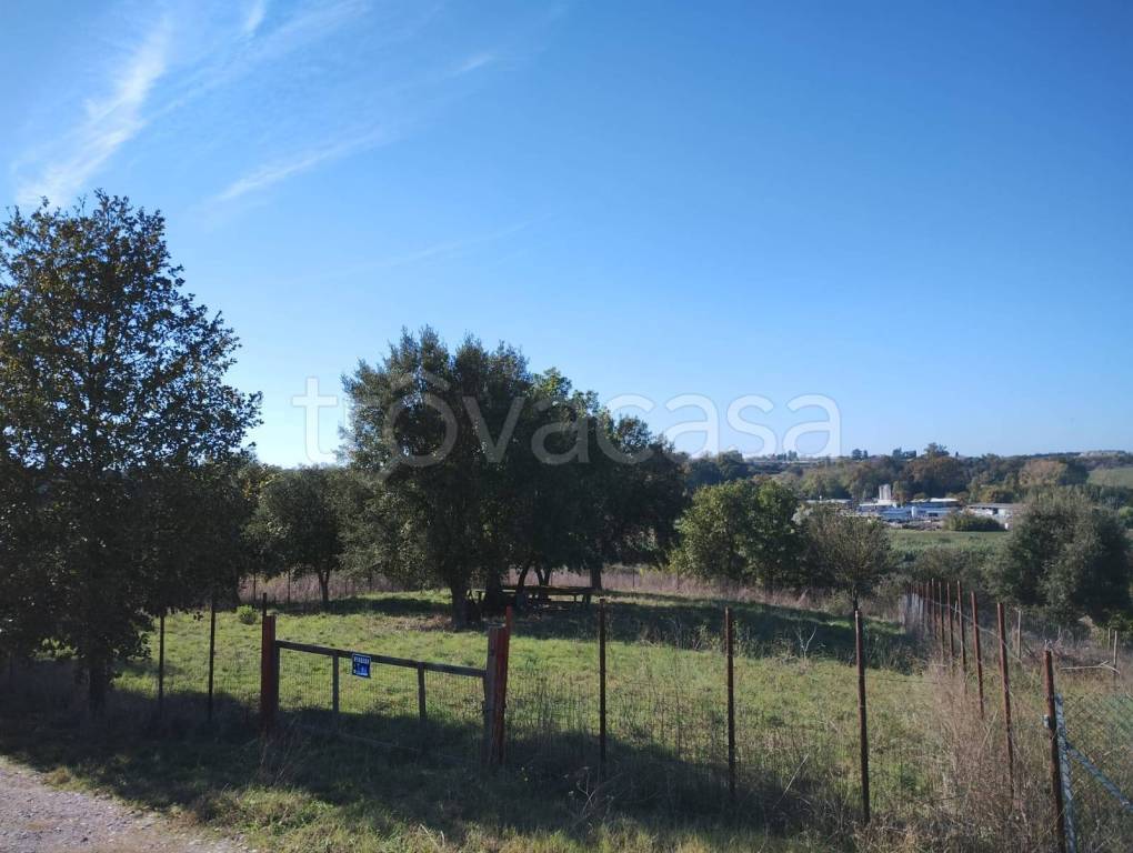 terreno agricolo in vendita a Roma in zona Casalotti