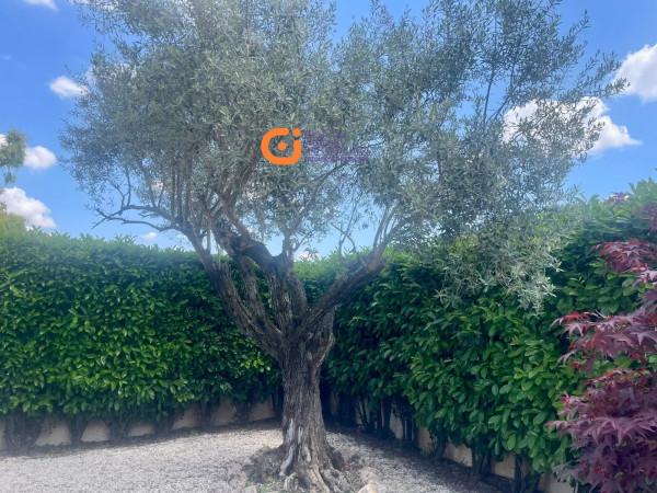 casa indipendente in vendita a Roma in zona Trigoria