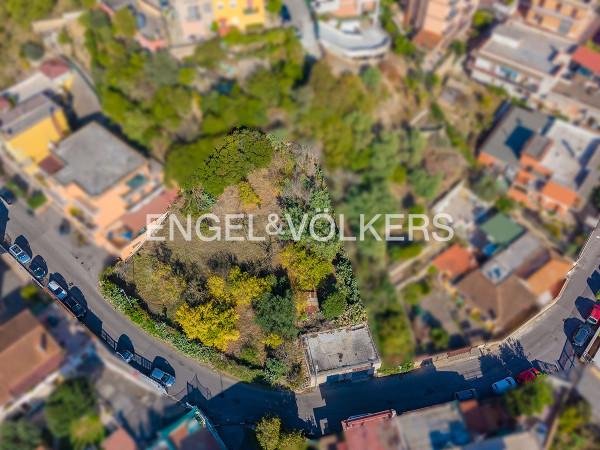 negozio in vendita a Roma in zona Montespaccato