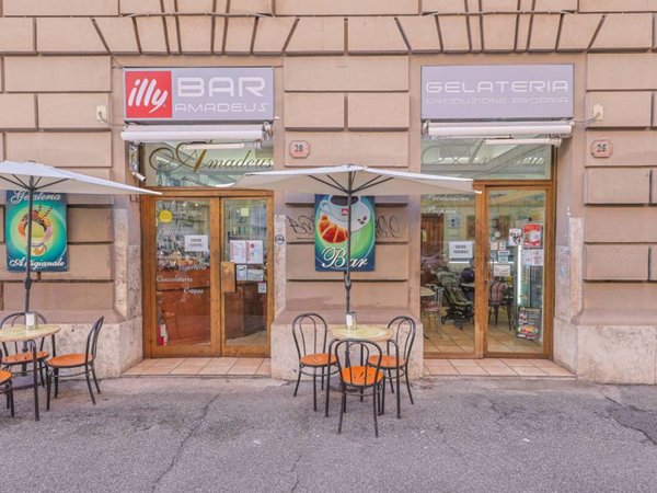 appartamento in vendita a Roma in zona Trieste