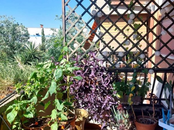 appartamento in vendita a Roma in zona Romanina