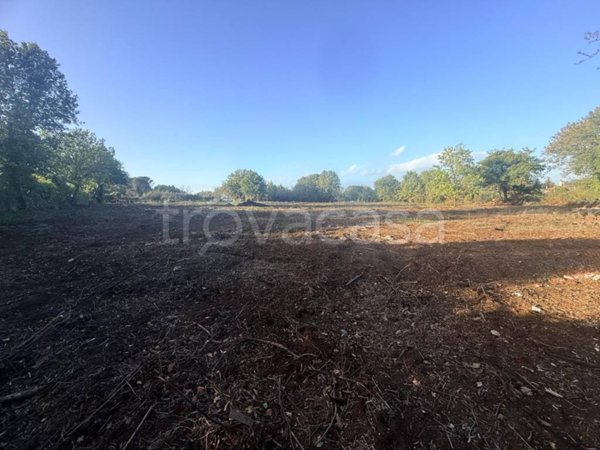 ufficio in vendita a Roma in zona Prima Porta