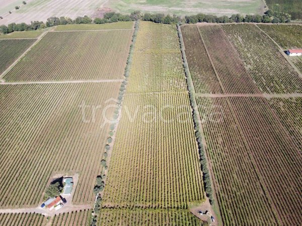 terreno agricolo in vendita a Roma