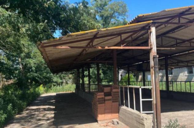 pentavano in vendita a Roma in zona Portuense