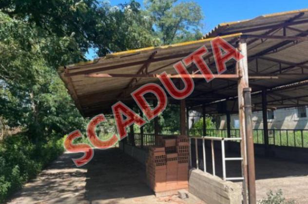 pentavano in vendita a Roma in zona Portuense