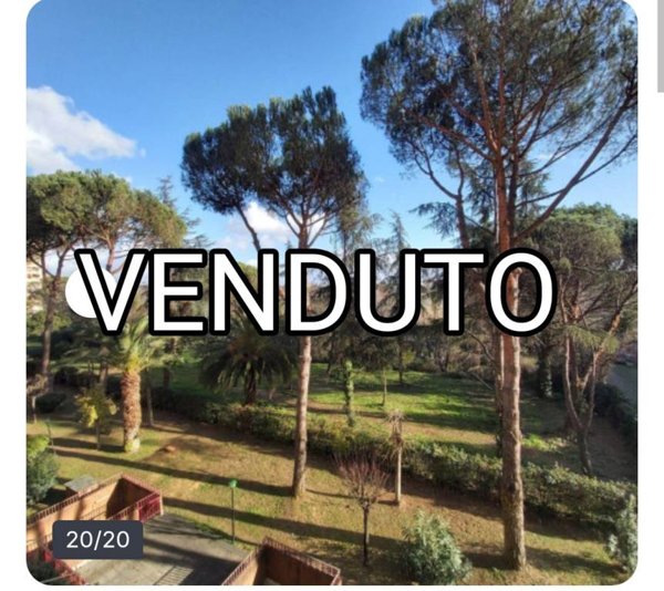 appartamento in vendita a Roma in zona Monte Sacro/Talenti