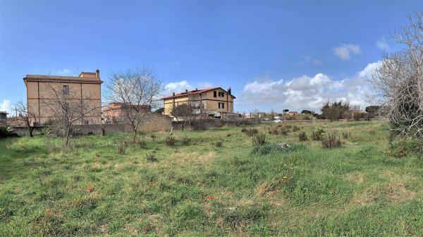 negozio in vendita a Roma in zona Casal Palocco