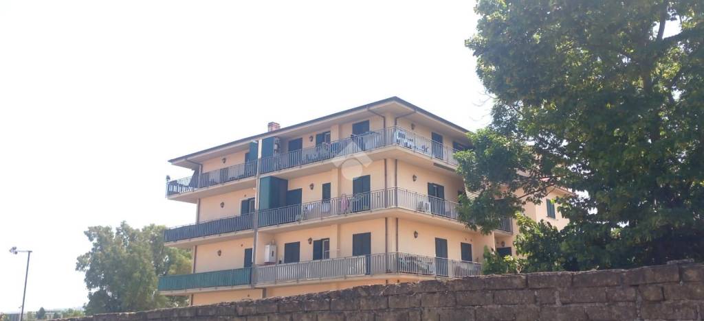 appartamento in vendita a Roma in zona Tor Vergata/Torrenova