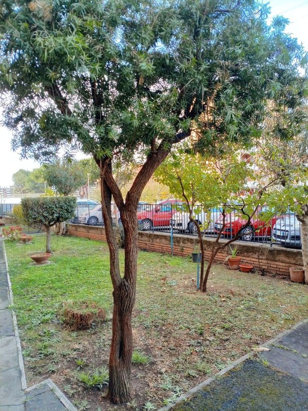 appartamento in vendita a Roma in zona Torre Spaccata