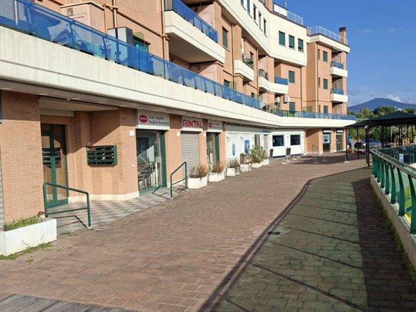 negozio in vendita a Roma in zona Tor Vergata/Torrenova