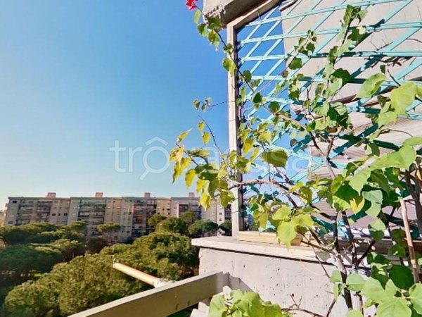 appartamento in vendita a Roma in zona Pietralata